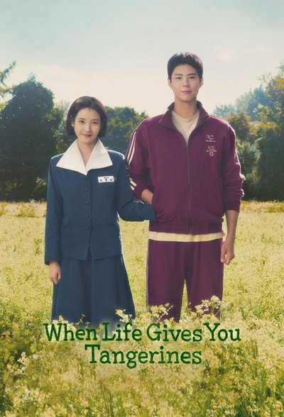 Download When Life Gives You Tangerines (Season1) [Hindi-English-Korean] Esubs 480p, 720p, 1080p Web-Dl